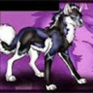 Meet your Posher, Jennipher